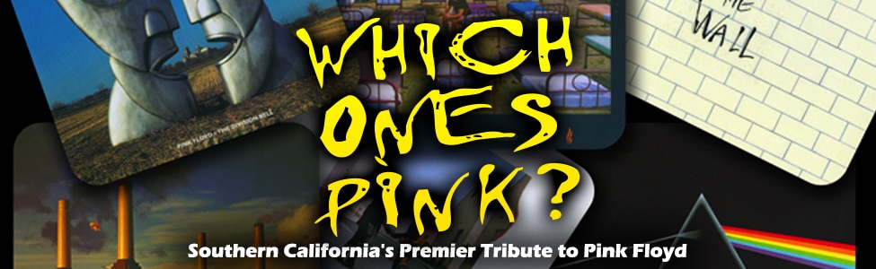 Pink Floyd Tribute: Which One's Pink — The Wall
